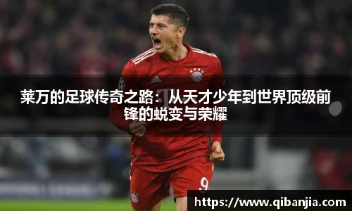 星空XK·(中国)体育